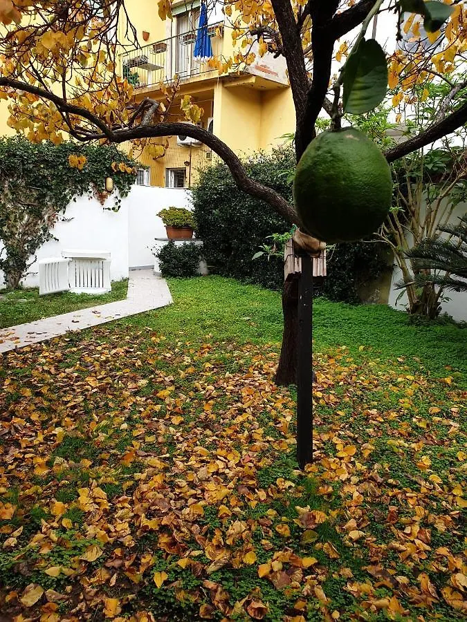 Casa Vacanze Keti Apartment Viareggio Italy