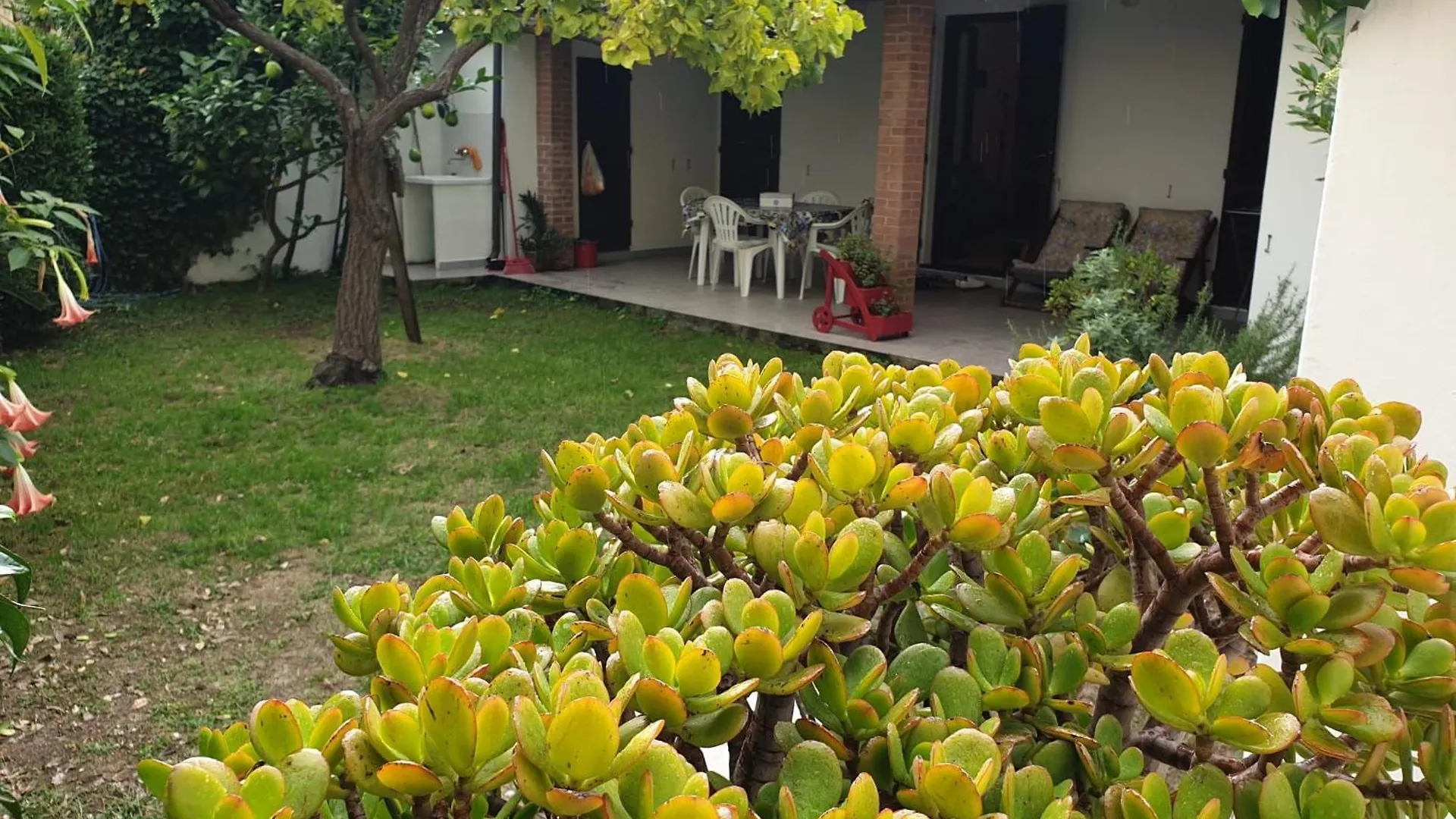 Casa Vacanze Keti Apartment Viareggio 0*,  Italy